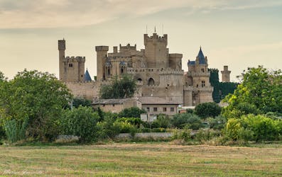 Olite Royal Palace and Ujue medieval village half-day tour from Pamplona
